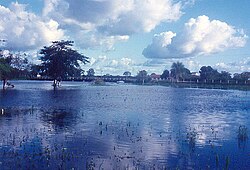 Пантанал во влажный сезон