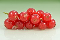 Redcurrant (Ribes rubrum) fruits.jpg