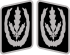 Reichsführer-SS Collar Rank.svg