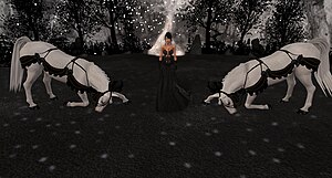 Цирк де Нюи: 20210328 051