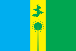 Flag of Nizhnekamsk rayon (Tatarstan).svg