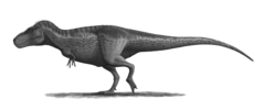 Tyrannosaurus-rex-Profile-steveoc86 (flipped).png