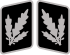 SS-Brigadeführer Collar Rank.svg