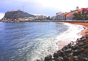 Aguilasmurcia.JPG