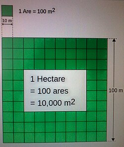 Гектар площадь