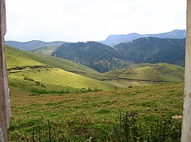 Collines de Gishwati 3.JPG