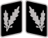 SS-Oberführer Collar Rank.svg