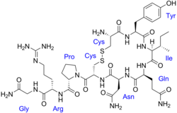 Молекулярная структура окситоцина с подписанными аминокислотами.