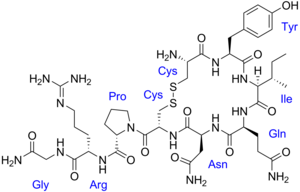 Молекулярная структура окситоцина с подписанными аминокислотами.