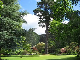 Bodnant Garden Frühsommerimpression 4.JPG