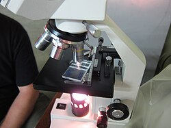 Подсчёт форменных элементов крови в камере Горяева при оптической микроскопии