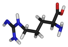 L-arginine-3D-hztl.png