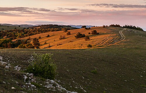 Ай-Петринская яйла