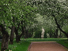 Яблоневый сад в Коломенском (Москва)