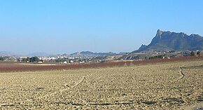Cieza vista general desde huerta.jpg