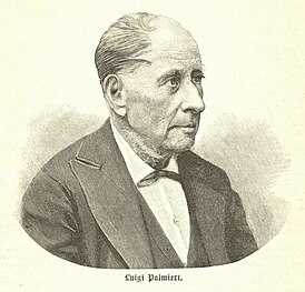 Luigi Palmieri 1897.jpg