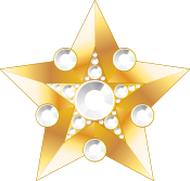 Large Marshal's Star.svg