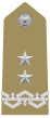 Rank insignia of generale di divisione of the Army of Italy (1973).svg