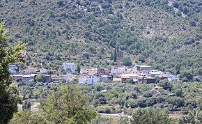 116.Palo vista general.jpg