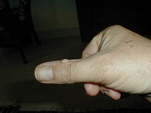 Porea doet djin wi.jpg